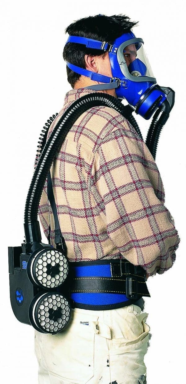 Padded waistbelt & braces - Image 2